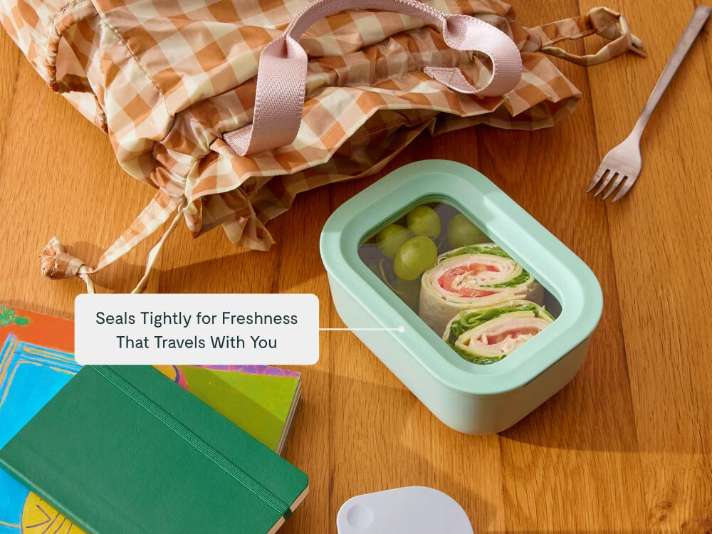 Mini Rectangle Container - 2.6 cup container for non-toxic meal prep & freezer-to-oven use. - US 3887